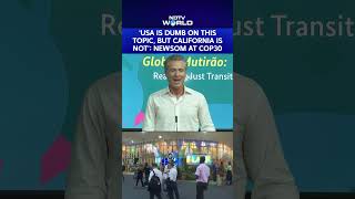 COP30 | "USA Is 'Dumb' On This Topic, California Is Not": Newsom On US Climate Policy At COP30