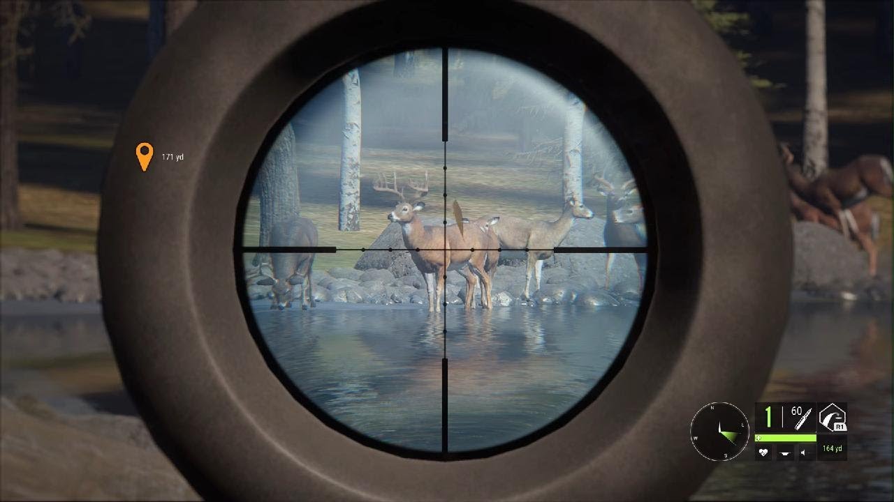 Diamond whitetail deer (thehunter Call of the wild) YouTube