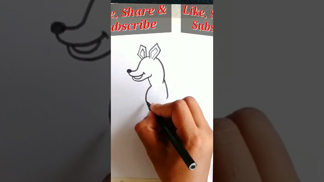 how to draw cute Kangaroo | how to draw animals 