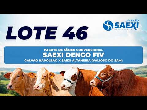 LOTE 46 - PACOTE DE SÊMEN CONVENCIONAL SAEXI DENGO FIV