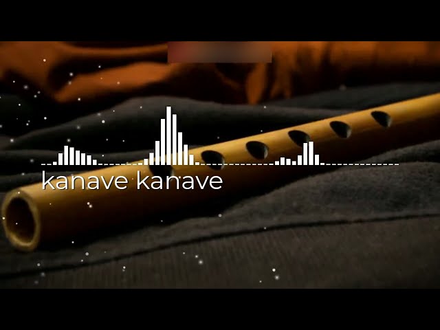 Kanave Kanave Ringtone| David movie | Vikram | Anirudh | Flute Instrumental Cover🎧🎧 class=