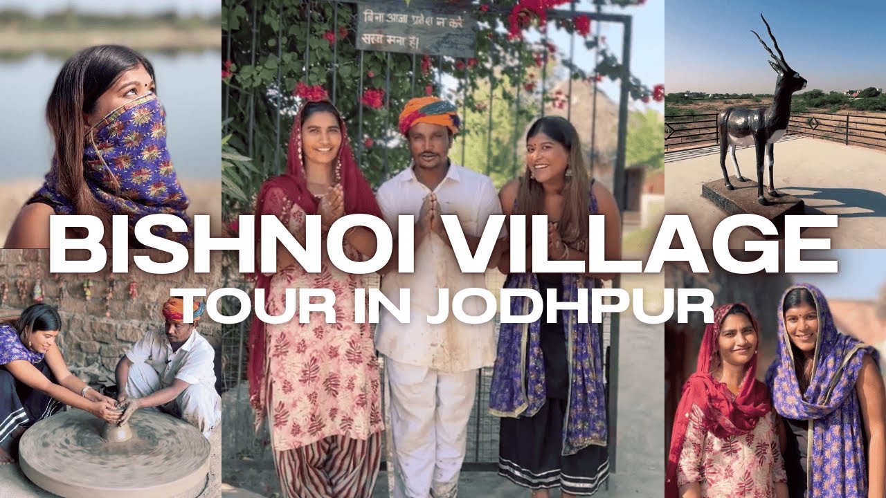 Bishnoi Village Tour in Jodhpur, Rajasthan #bishnoi #jodhpur