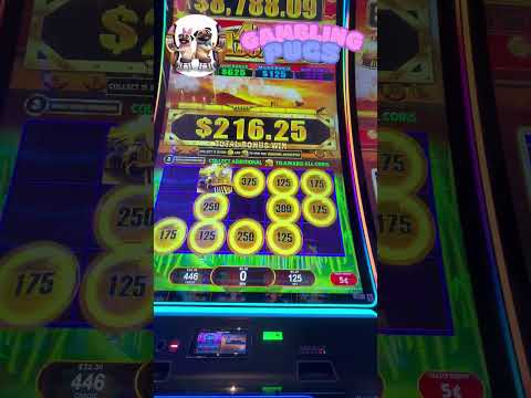 Spel casino games online bij Betpanda: Nu in Nederland beschikbaar!