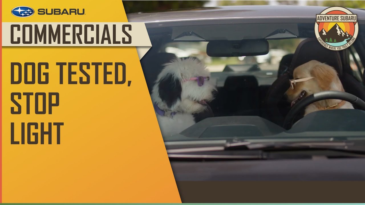 Adventure Subaru | Subaru - 2022 Dog Tested, Stop Light
