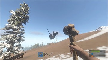 Rust; Flying Horses are Magical