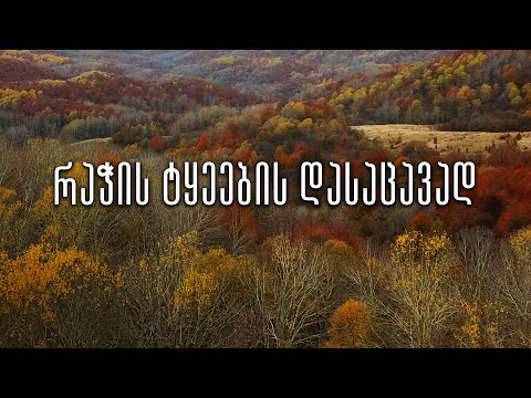 რაჭის ტყეების დასაცავად