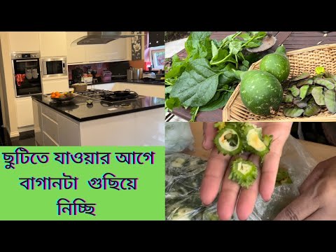 বাগান গুছানোর সময় এসে গেছে / ছুটিতে যাওয়ার আগে সবজি গুলো Freeze করে দিচ্ছি / Tidying the garden