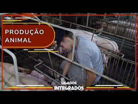 Expansão da agroindústria mostra relevância do integrado na produção | Ligados&Integrados 30/03/2023