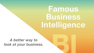 Famous Software Business Intelligence screenshot 4