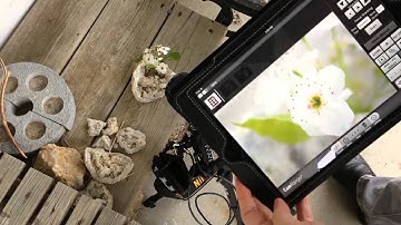 How to use Focus Stacking with CamRanger Pt 1, in Camera