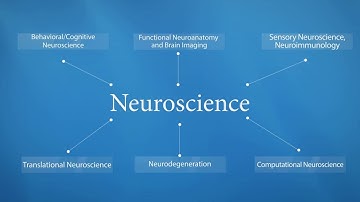 Publish with Springer in Neuroscience