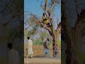 Ye kia hogaya😂😂#funny #sindhiradhno #funnycomedymovies #indiansindhi #funnymovies #comedy #fun