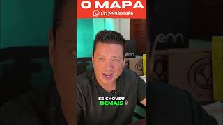 Melancia na Chuva: Variedade Liverpool é a Solução! #shorts