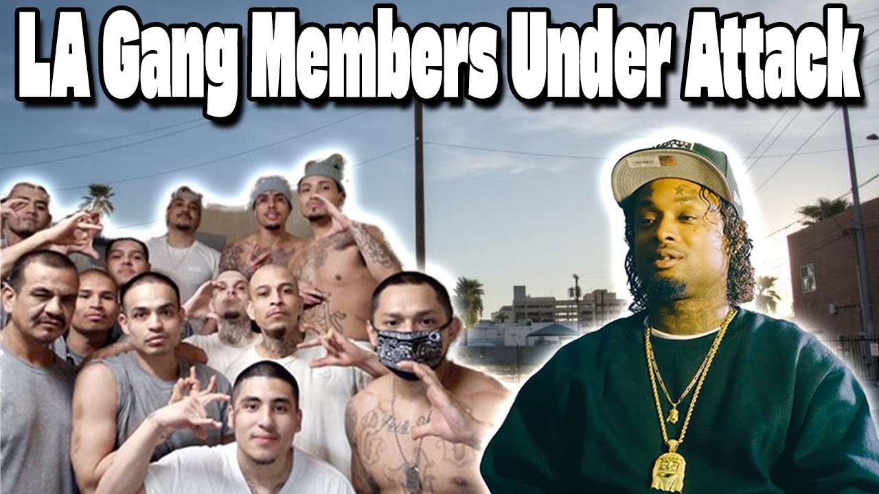 Gang Member Says LA Blacks Are Afraid Of Latinos