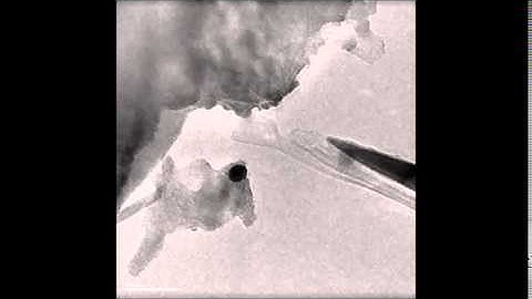 Nano Letters : Comparative Fracture Toughness of Multilayer Graphenes and Boronitrenes