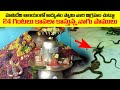 Secrets of mopidevi temple  mopidevi subramanya swamy temple adhbutha samacharam