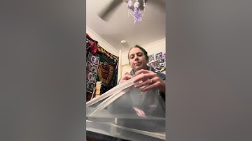 Putting together plush toy storage Kmart finds 😂🤘🏼