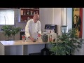 Cannabis Tinctures