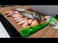 Tuna, Mahi, Snapper, and Grouper CATCH CLEAN COOK (Bahamas Fishing)