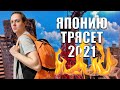 Страшно ли жить в Японии? Сильное землетрясение в Японии 2021