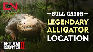 Red Dead Redemption 2 - Legendary Alligator Location - Bull Gator