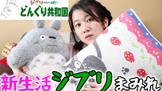 【ジブリ女子の部屋】トトロと暮らす毎日始めない？【ジブリ/一人暮らし】