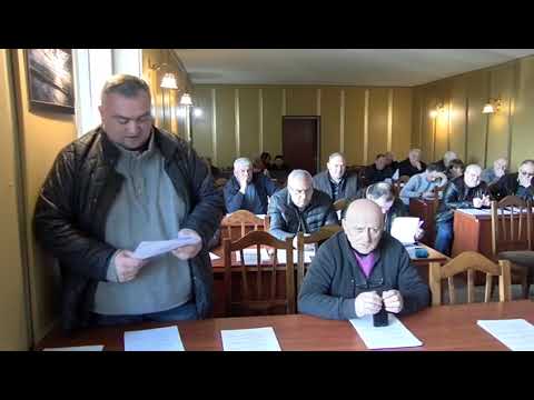 საკრებულოს სხდომა 17022020