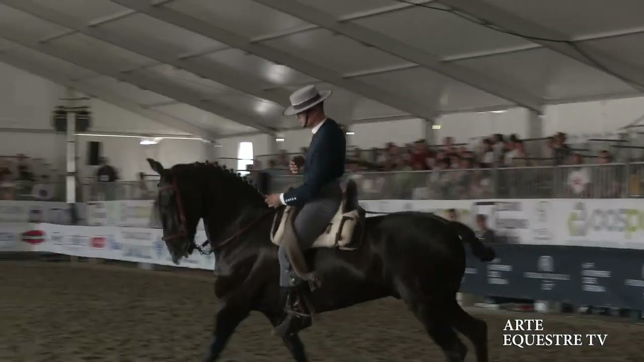 ARTE EQUESTRE TV - FRANCESCO BOGONI - COPPA ITALIA - INTERMEDI - TRAVAGLIATO CAVALLI 2025