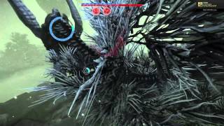Evolve Alpha Game 85 1080p@60fps