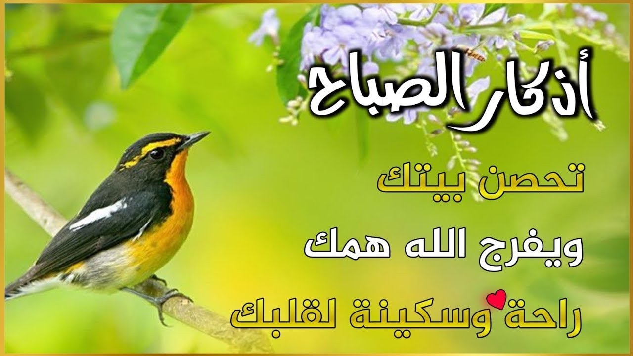 أذكار الصباح - راحة نفسية لا توصف بصوت القارئ علاء عقل | Morning Athkar - Dzkir Pagi by Alaa Aql