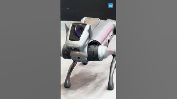 This AI robot dog is cute, weird, and a little terrifying