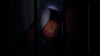 Foxy and chica in the same hallway??? (Fnaf4)