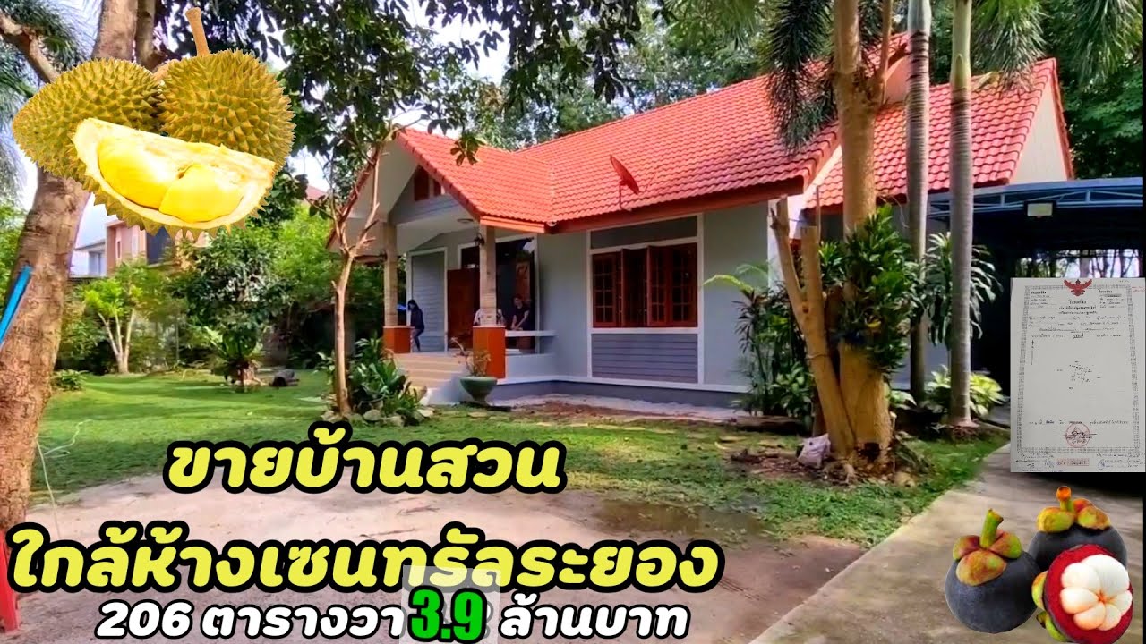 EP.322ขายบ้านสวนใกล้ห้างเซนทรัลระยอง🏡โฉนด 206 ตารางวา 3นอน 3 น้ำ 3.95ล้านต.น้ำคอก อ.เมือง จ.ระยอง