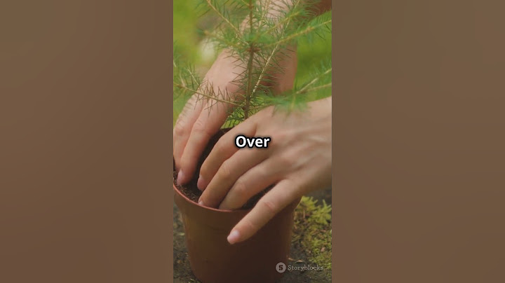 How Tree Pod Burials Works #shorts #shortfeed #ttending #burial #death