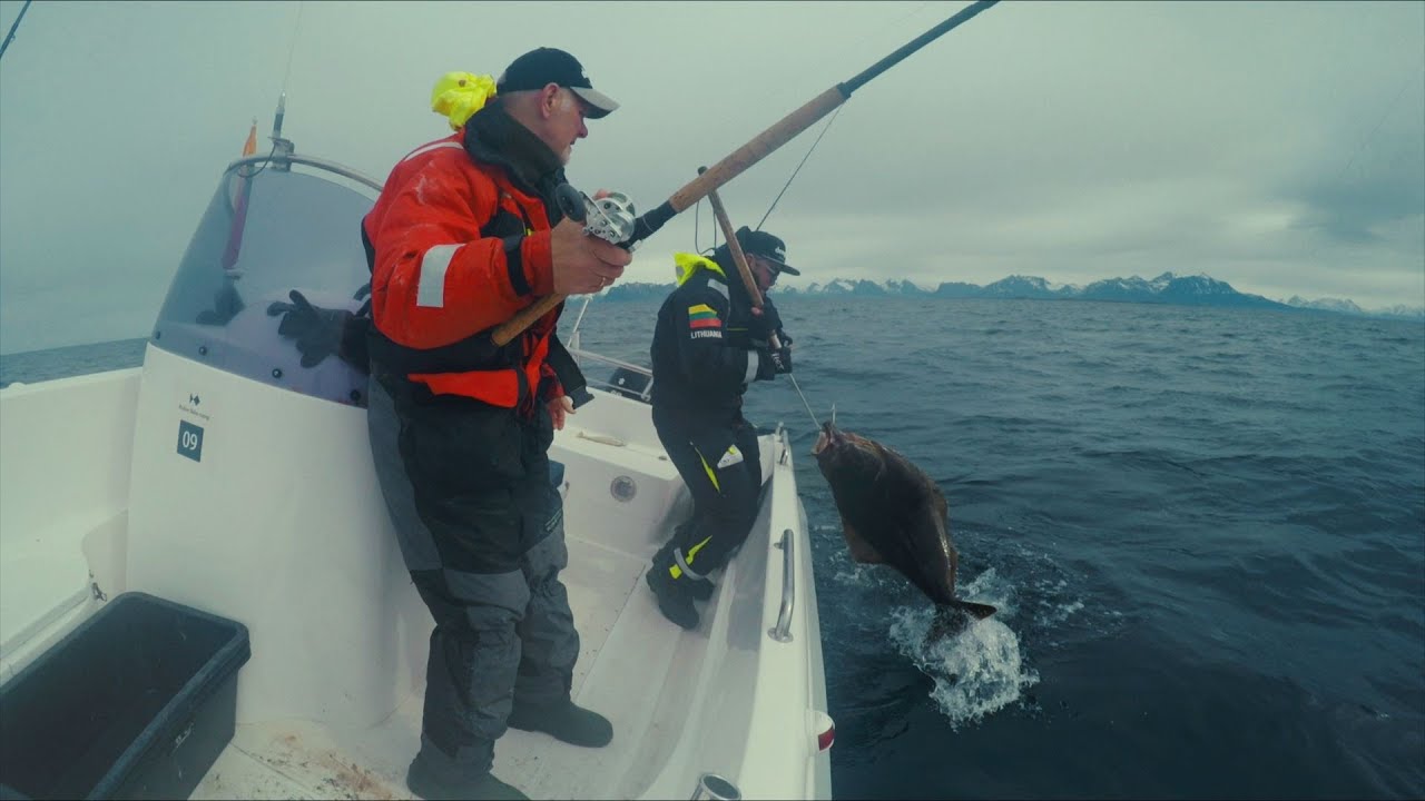 Šiandien kimba 2016 05 22 Norvegija