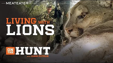 Living with Lions in Washington State | S1E03 | On...