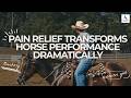 Pain Relief Transforms Horse Performance Dramatically