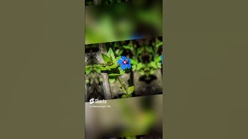 Which one do you like?😊