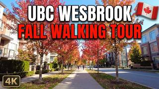 Information 🇨🇦  [4K] 🌞 🍁🚶Vancouver Autumn Walk in Wesbrook Village Of UBC, BC, Canada News