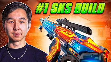 I TRIED THE #1 SKS PLAYERS SKS BUILD (13 KILLS IN 10 SECONDS)