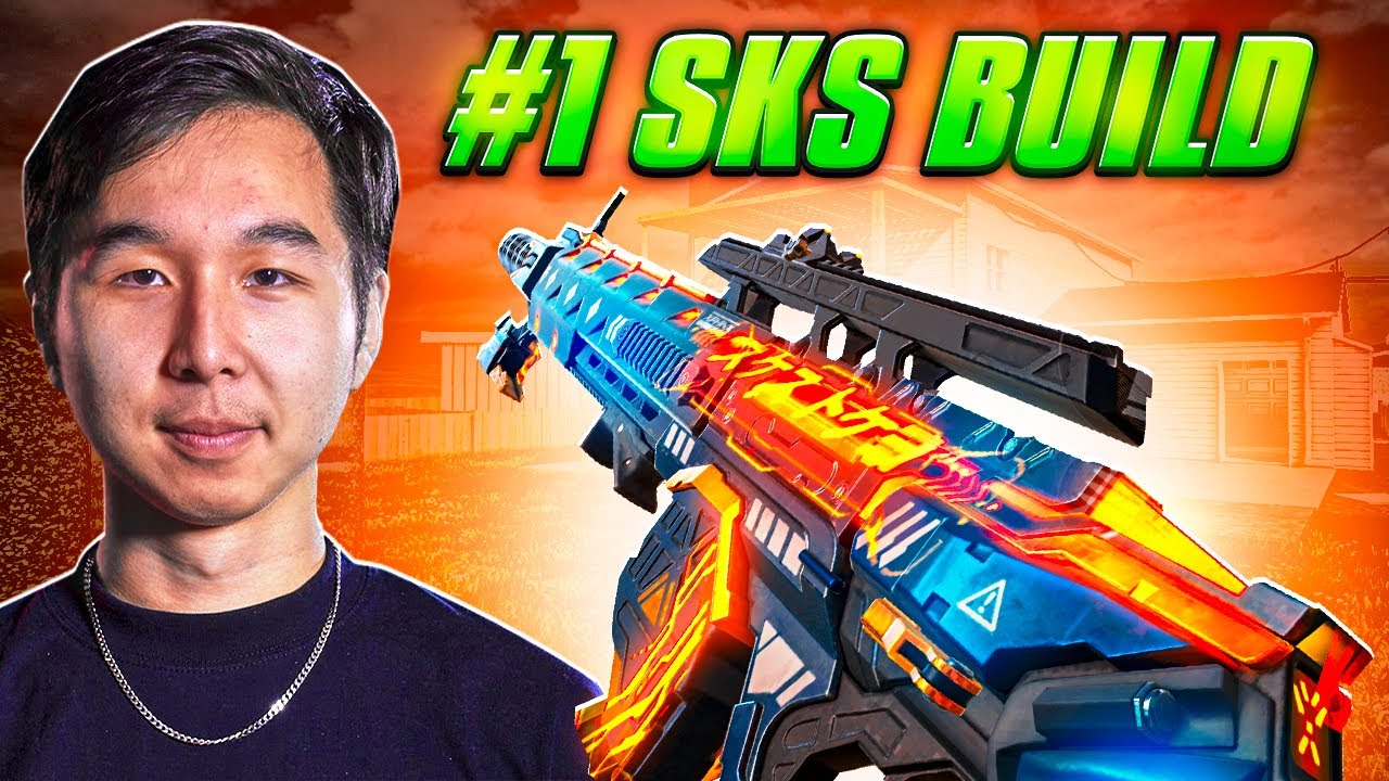 I TRIED THE #1 SKS PLAYERS SKS BUILD (13 KILLS IN 10 SECONDS)