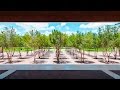Harriet pattison projects the kimbell art museum 1 of 8