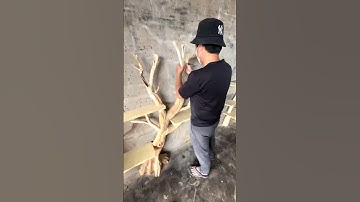 Tree book shelf #shorts