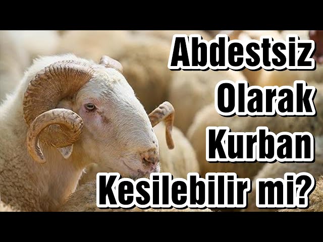 ABDESTSİZ OLARAK KURBAN KESİLEBİLİR Mİ? | Vaiz Ali ÖZDEMİR