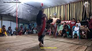 Download Lagu DHEA MIRELLA MAIN PITIK WALIK ‼️ RUKUN BUDOYO GENDOL PACARMULYO LEKSONO #salamhokya #barisanmedia MP3