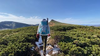 2020.10.28 烏帽子岳（乳頭山）滝ノ上温泉から周回【千沼ヶ原/熊と遭遇/4K】