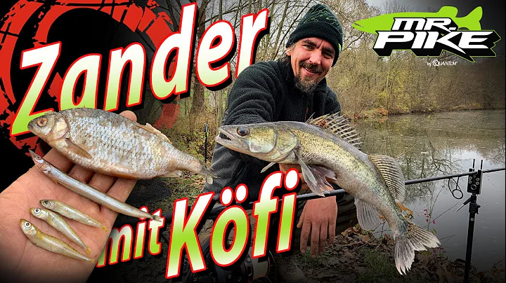 ZANDER mit KFI | Deadbaiting im Winter | Zanderang...