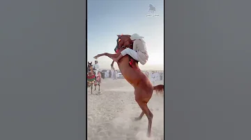 الخيل من خيالها فارس شجاع ما شاء الله 