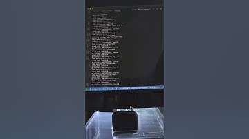 wasp-os and MicroPython with VSCode and Semihosting Console