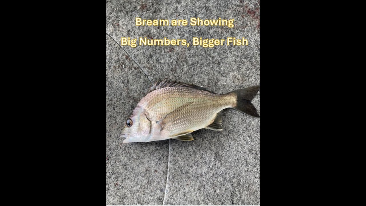 Swan River Fishing Report March 4th 2024 